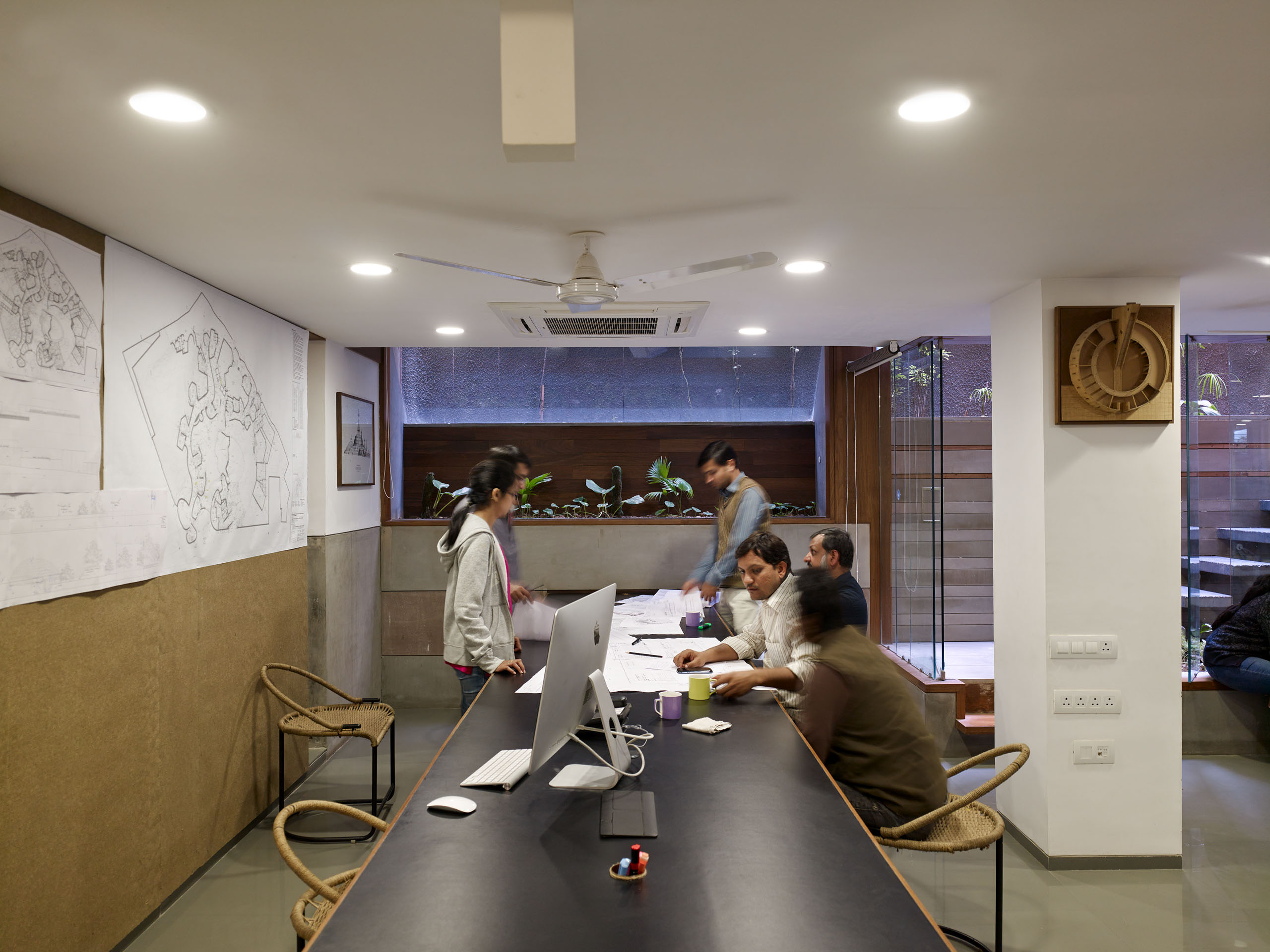 E14491 Alpa 042429 j2560